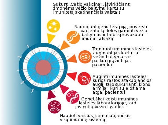 pav. SAVIGYNA. Keletas imunoterapijos formų pasitelkia mūsų pačių imuninę sistemą vėžinių ląstelių naikinimui ©NCI/Phanie/Rex Features