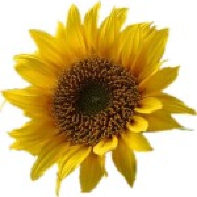 blog image