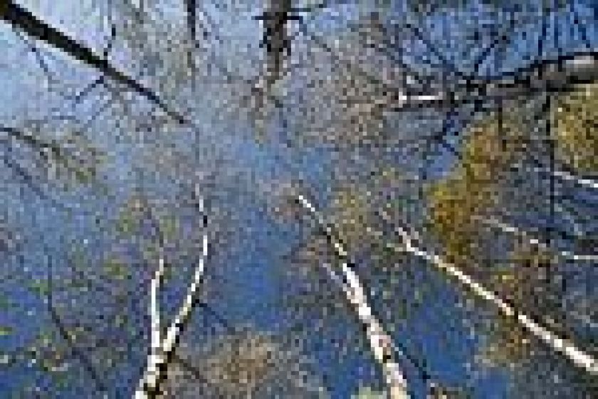 blog image